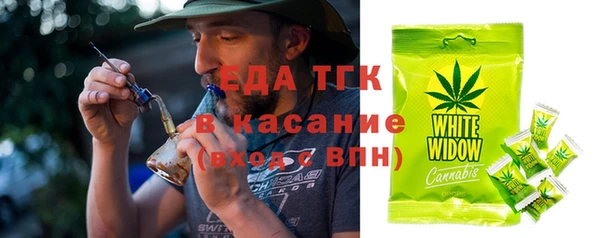 индика Балахна