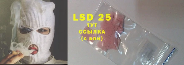 PSILOCYBIN Баксан