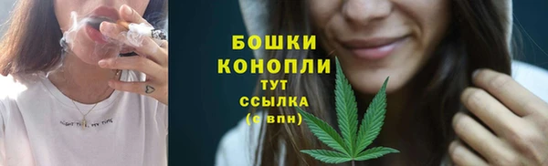 PSILOCYBIN Баксан