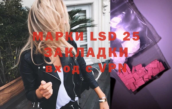 PSILOCYBIN Баксан