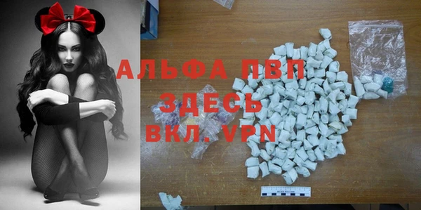 индика Балахна