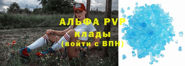 PSILOCYBIN Баксан
