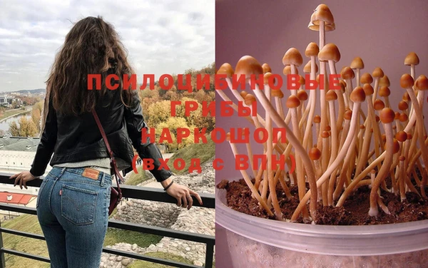 индика Балахна